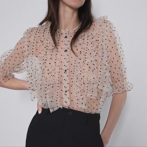 Zara Cream/Black Polka Dot Organza Patrice Ruffle Blouse Women’s Medium